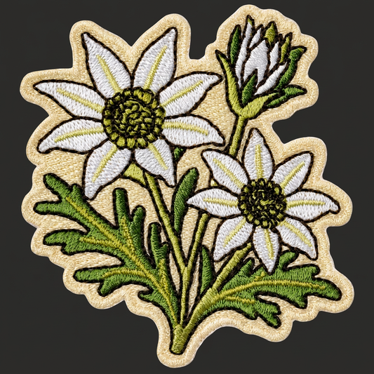 Flannel Flower